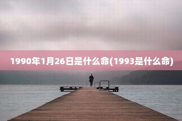 1990年1月26日是什么命(1993是什么命)