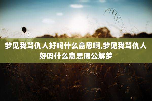 梦见我骂仇人好吗什么意思啊,梦见我骂仇人好吗什么意思周公解梦