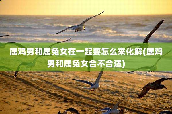属鸡男和属兔女在一起要怎么来化解(属鸡男和属兔女合不合适)