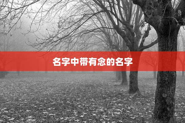 名字中带有念的名字