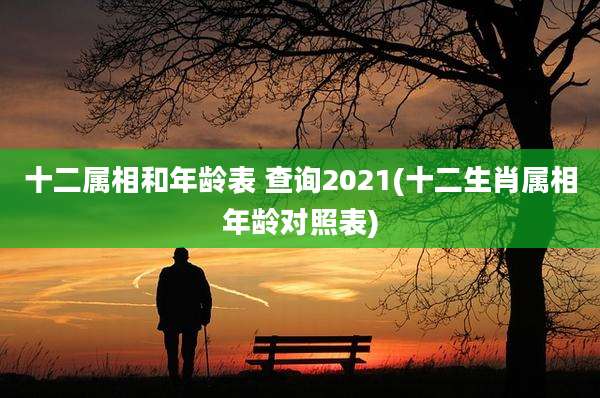 十二属相和年龄表 查询2021(十二生肖属相年龄对照表)