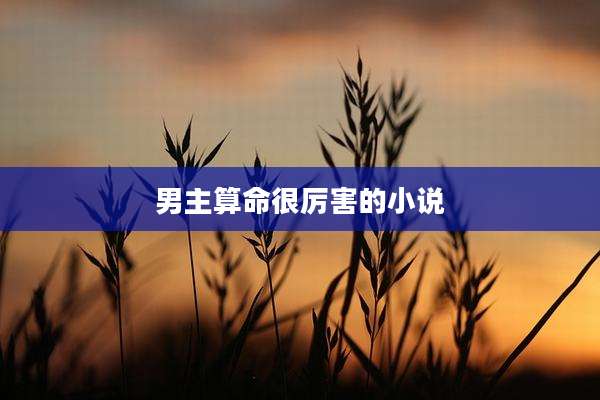 男主算命很厉害的小说