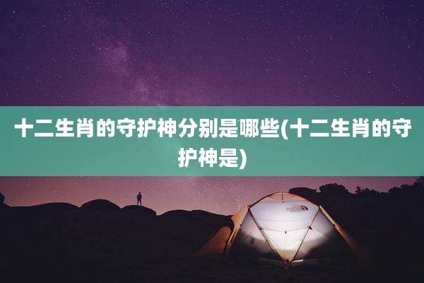 十二生肖的守护神分别是哪些(十二生肖的守护神是)