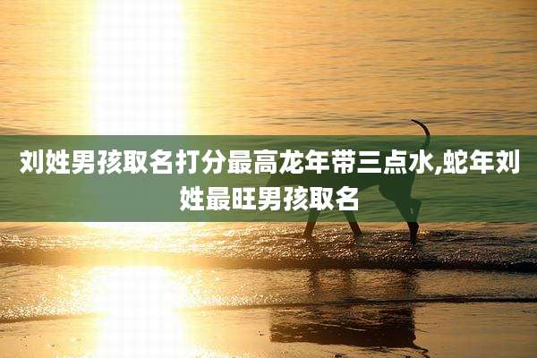刘姓男孩取名打分最高龙年带三点水,蛇年刘姓最旺男孩取名