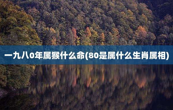一九八0年属猴什么命(80是属什么生肖属相)