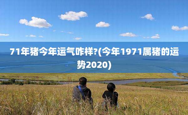 71年猪今年运气咋样?(今年1971属猪的运势2020)