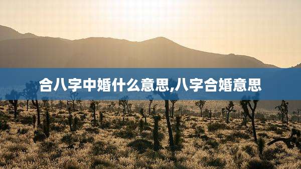 合八字中婚什么意思,八字合婚意思