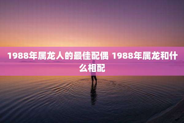 1988年属龙人的最佳配偶 1988年属龙和什么相配