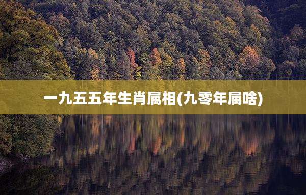 一九五五年生肖属相(九零年属啥)