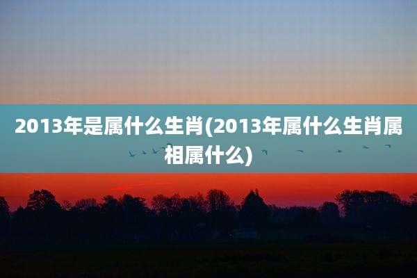 2013年是属什么生肖(2013年属什么生肖属相属什么)