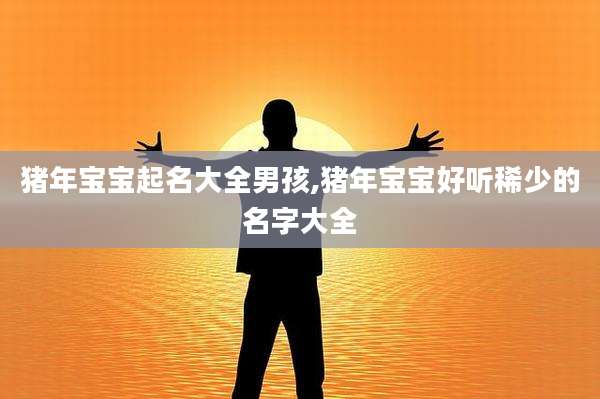 猪年宝宝起名大全男孩,猪年宝宝好听稀少的名字大全