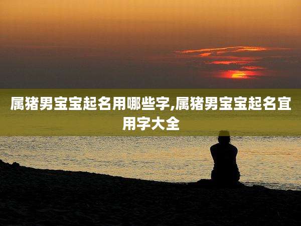 属猪男宝宝起名用哪些字,属猪男宝宝起名宜用字大全