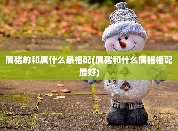 属猪的和属什么最相配(属猪和什么属相相配最好)