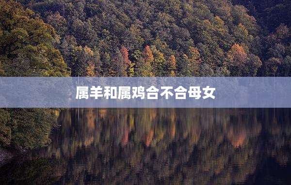 属羊和属鸡合不合母女
