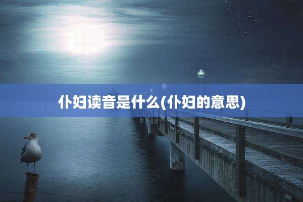 仆妇读音是什么(仆妇的意思)