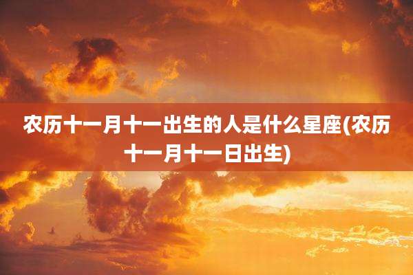 农历十一月十一出生的人是什么星座(农历十一月十一日出生)