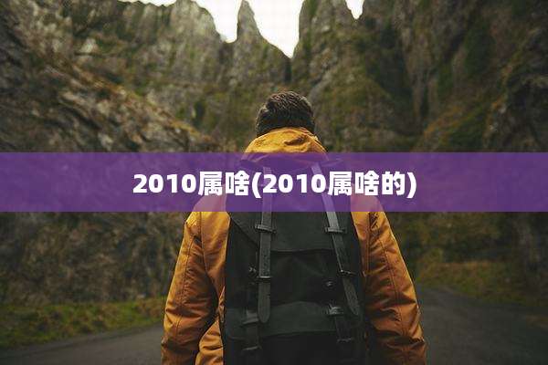 2010属啥(2010属啥的)