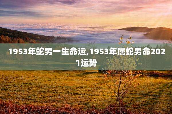 1953年蛇男一生命运,1953年属蛇男命2021运势