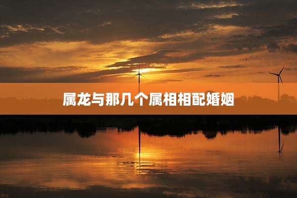 属龙与那几个属相相配婚姻
