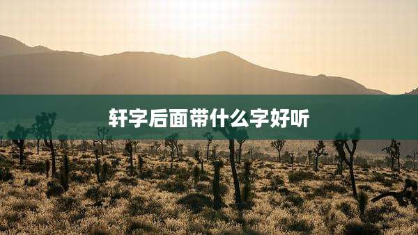 轩字后面带什么字好听