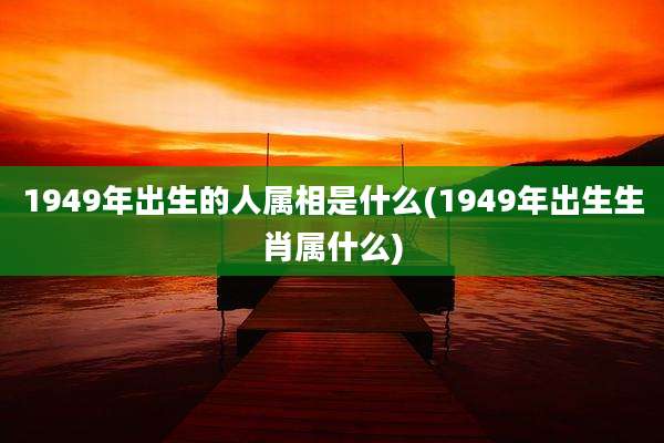 1949年出生的人属相是什么(1949年出生生肖属什么)