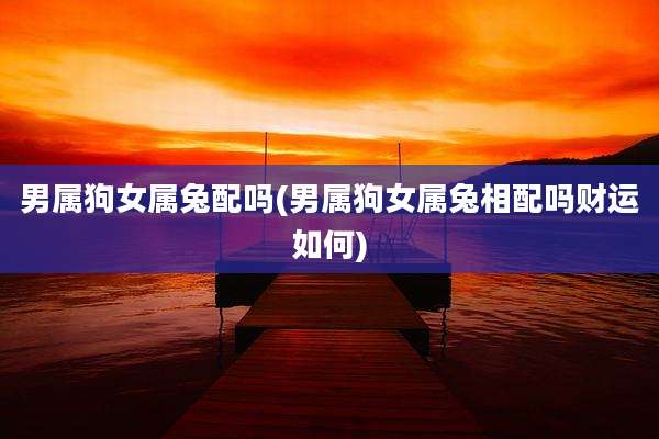 男属狗女属兔配吗(男属狗女属兔相配吗财运如何)