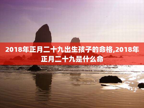 2018年正月二十九出生孩子的命格,2018年正月二十九是什么命
