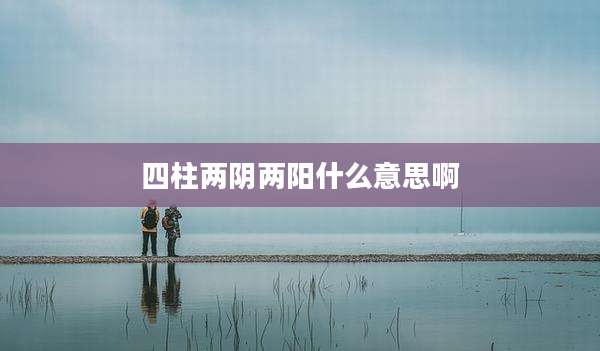四柱两阴两阳什么意思啊