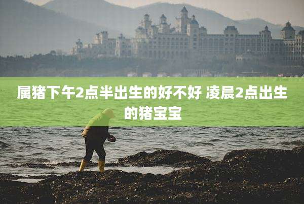 属猪下午2点半出生的好不好 凌晨2点出生的猪宝宝