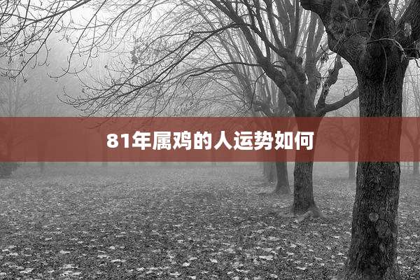 81年属鸡的人运势如何