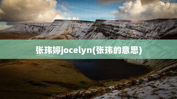 张玮婷jocelyn(张玮的意思)