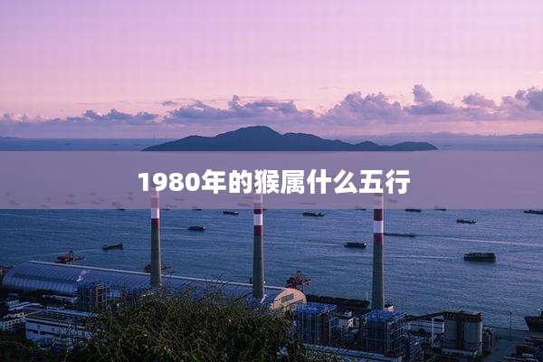 1980年的猴属什么五行