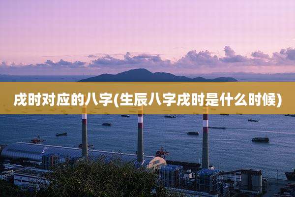 戌时对应的八字(生辰八字戌时是什么时候)
