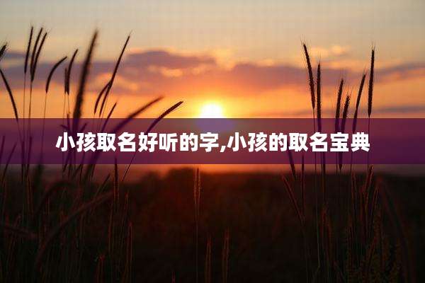 小孩取名好听的字,小孩的取名宝典