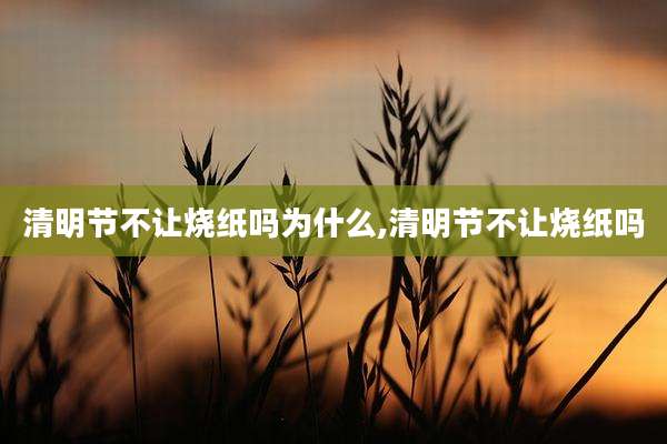 清明节不让烧纸吗为什么,清明节不让烧纸吗