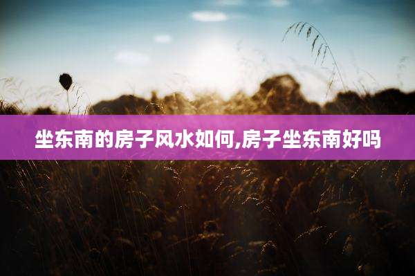 坐东南的房子风水如何,房子坐东南好吗