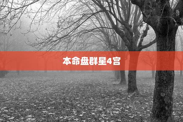 本命盘群星4宫
