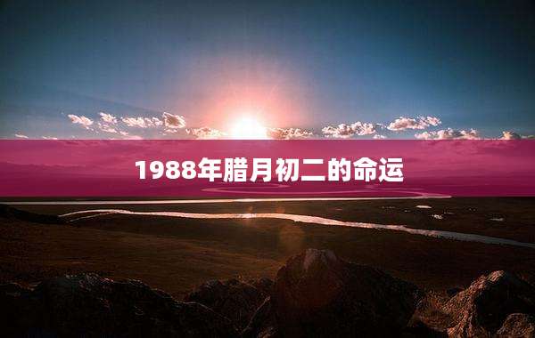 1988年腊月初二的命运