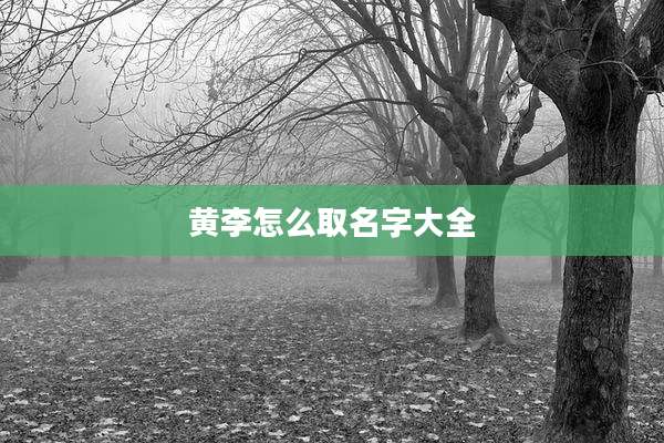 黄李怎么取名字大全