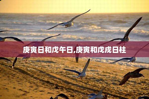 庚寅日和戊午日,庚寅和戊戌日柱