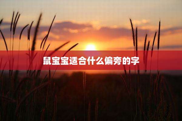 鼠宝宝适合什么偏旁的字