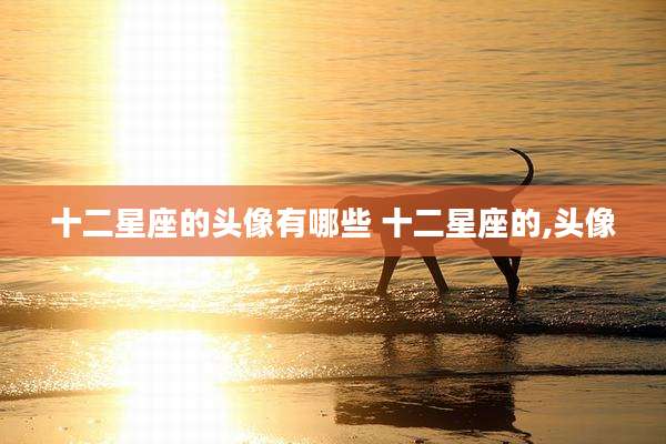 十二星座的头像有哪些 十二星座的,头像