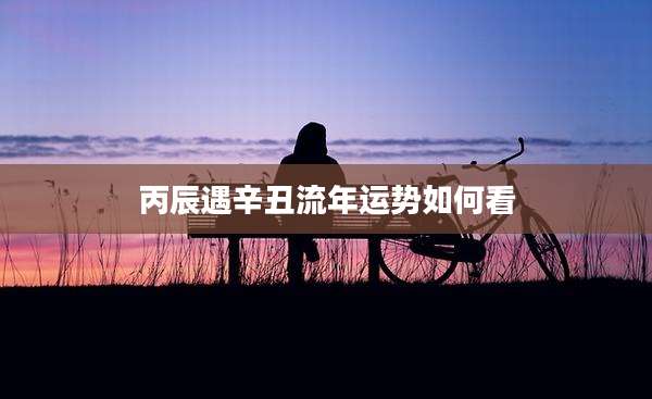 丙辰遇辛丑流年运势如何看