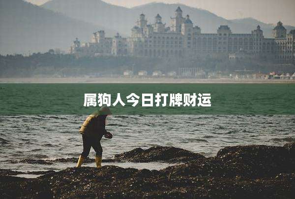 属狗人今日打牌财运