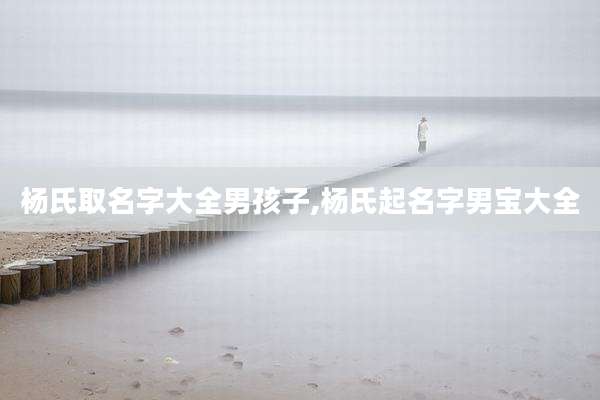 杨氏取名字大全男孩子,杨氏起名字男宝大全