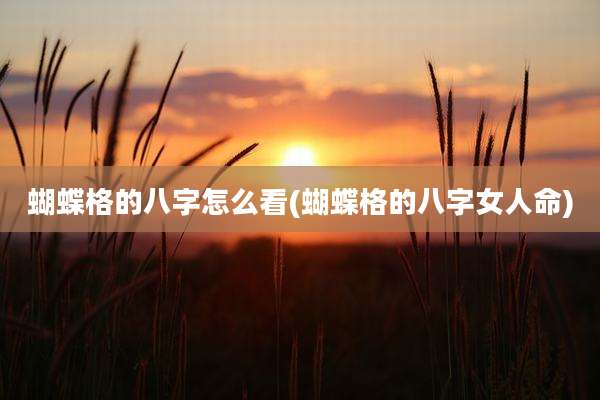 蝴蝶格的八字怎么看(蝴蝶格的八字女人命)