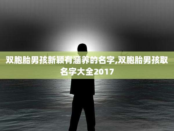 双胞胎男孩新颖有涵养的名字,双胞胎男孩取名字大全2017