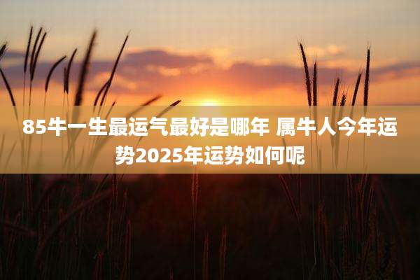 85牛一生最运气最好是哪年 属牛人今年运势2025年运势如何呢