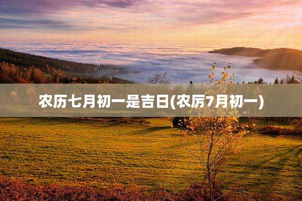 农历七月初一是吉日(农厉7月初一)