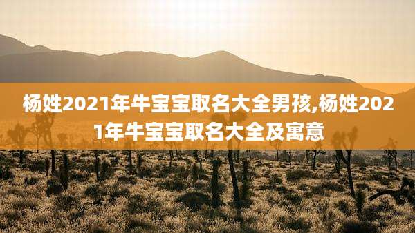 杨姓2021年牛宝宝取名大全男孩,杨姓2021年牛宝宝取名大全及寓意